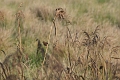 18 11 12_7923_edited-1
